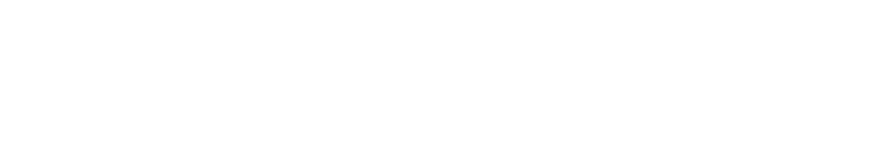logo-fd